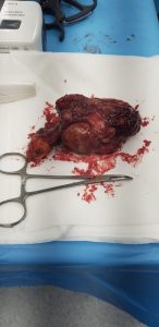 PHOTO 2020 02 22 11 50 32