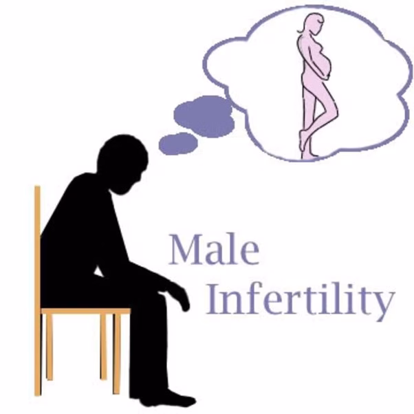 l'infertilité masculine