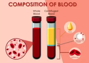 PRP therapy for erectile dysfunction