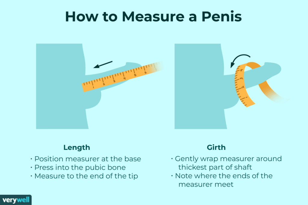 Penile Length